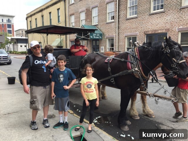 Horse Carriage Tour Savannah Georgia