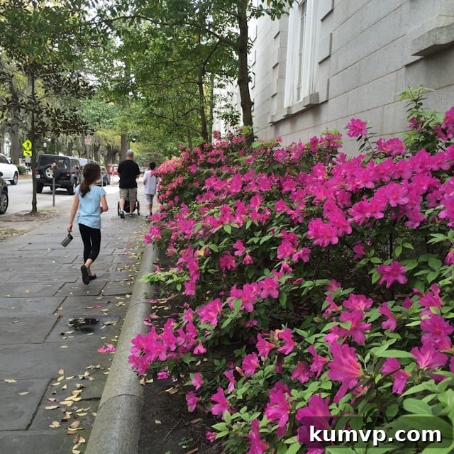 Things to Do in Savannah Georgia with Kids