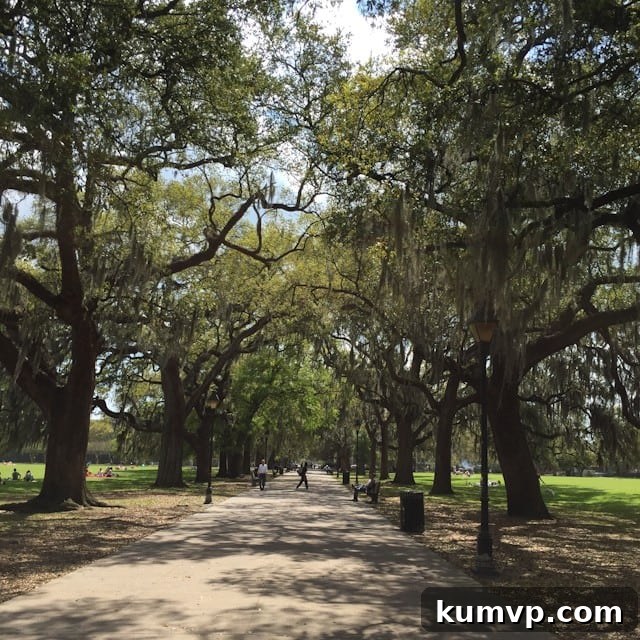 Savannah Georgia Forsyth Park Playground