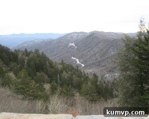 Delicious bowl of Ina's Mexican Chicken Soup with fresh toppings