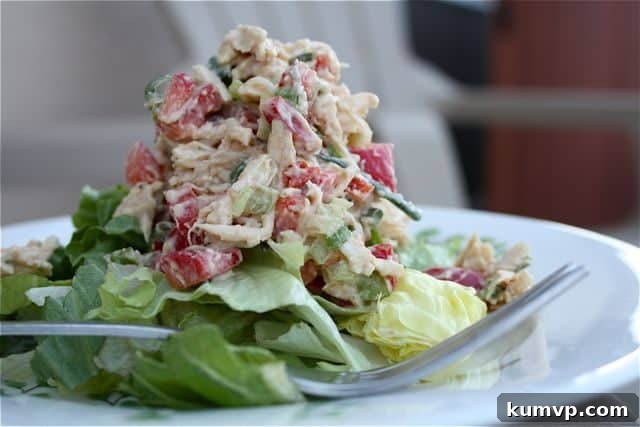 Hummus Chicken Salad - A Healthy Alternative A vibrant plate of Hummus Chicken Salad, artfully arranged on a bed of fresh mixed greens, with a fork resting beside it, highlighting its readiness for a healthy and satisfying meal.