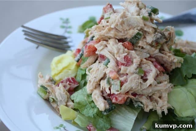 Hummus Chicken Salad - Close-up View A close-up shot of Hummus Chicken Salad served on a bed of fresh, vibrant greens with a fork, emphasizing its appetizing texture and fresh ingredients, ready to be enjoyed.