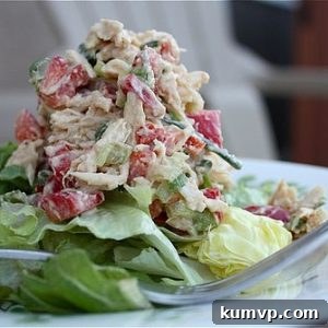 Hummus Chicken Salad with a healthy twist