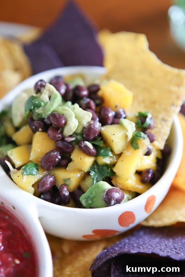 Fresh Mango Avocado Black Bean Salsa – Ideal for chips, tacos, or grilled chicken. A vibrant bowl of Mango Avocado and Black Bean Salsa, perfect for dipping or topping. Ingredients include fresh mango, creamy avocado, hearty black beans, and cilantro, served with tortilla chips. Recipe via aggieskitchen.com